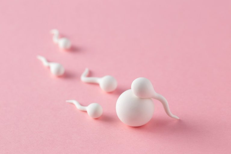 high-angle-ovule-spermatozoa-arr